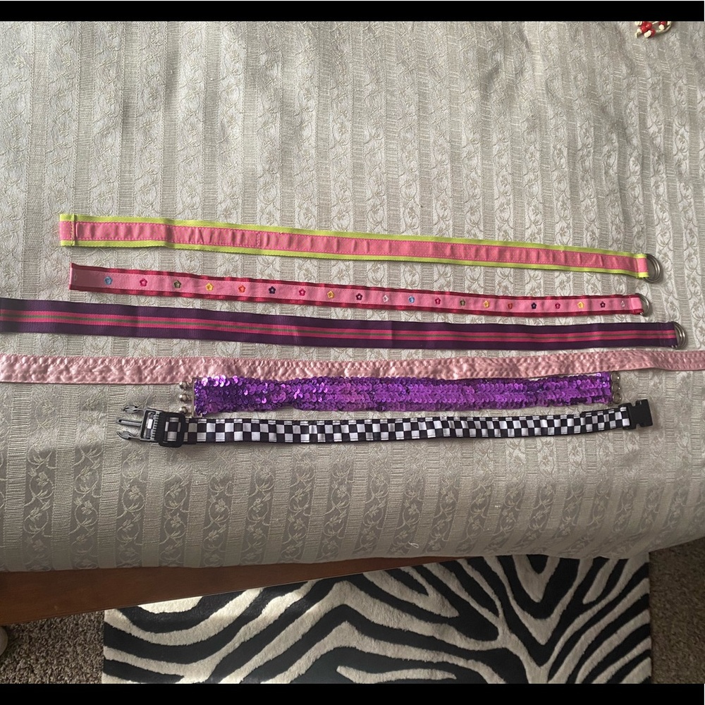 Bundle of girls belts